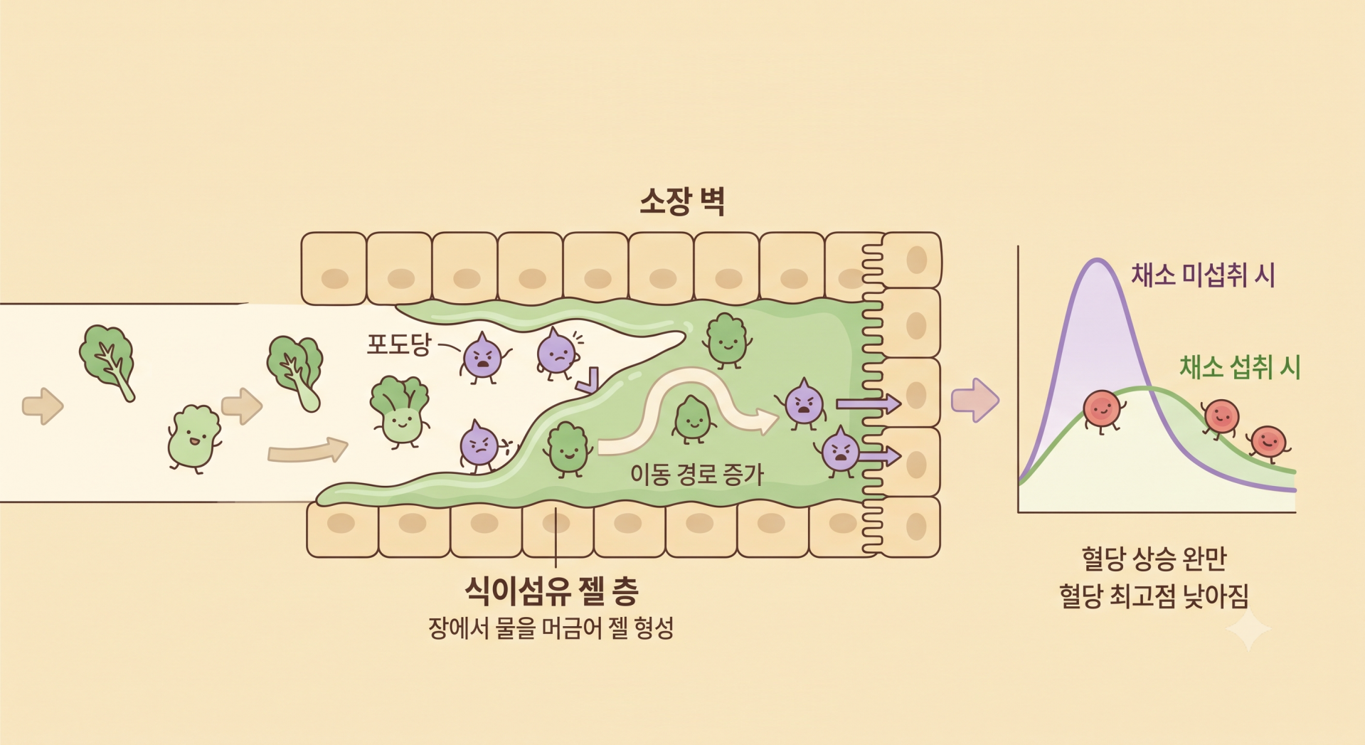 채소가 방파제 역할을 하는 과정 @nano banana