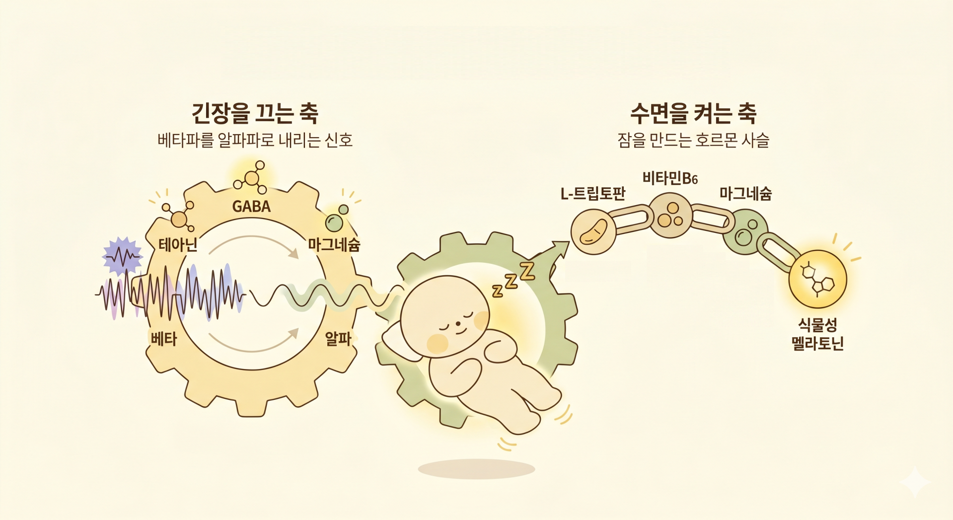 잠을 부르는 2가지 축 @nano banana.png