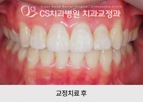 c911196a31510.jpg