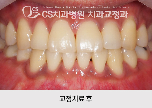 ff6dc4a107788.jpg