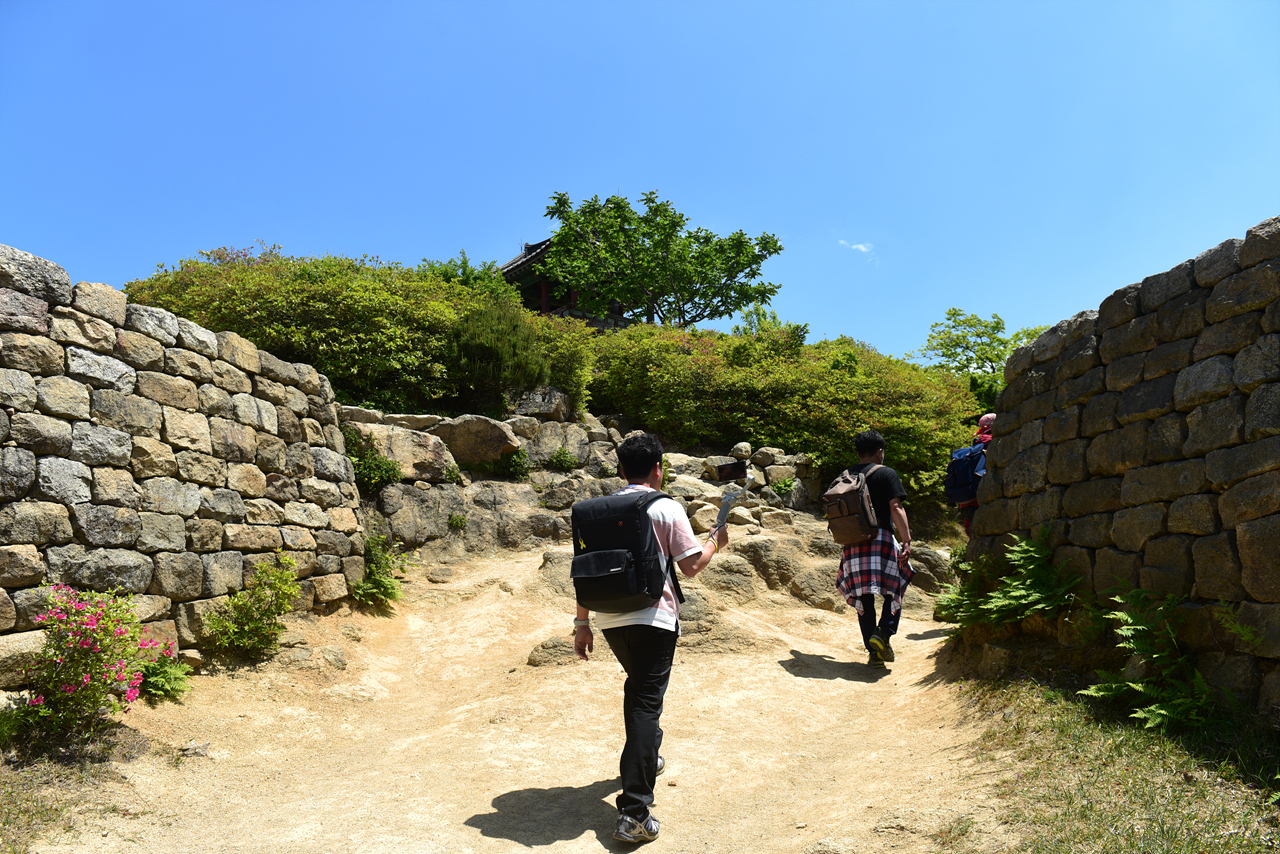 dfe6410942e39.jpg