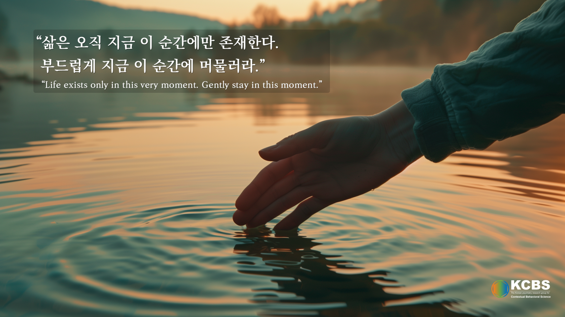 924afa64c82e1.png