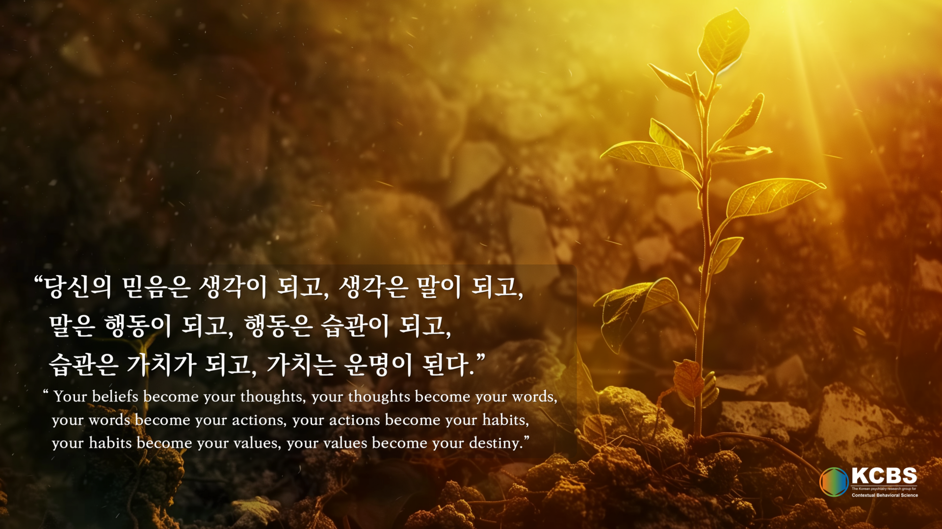b39a044ee8198.png