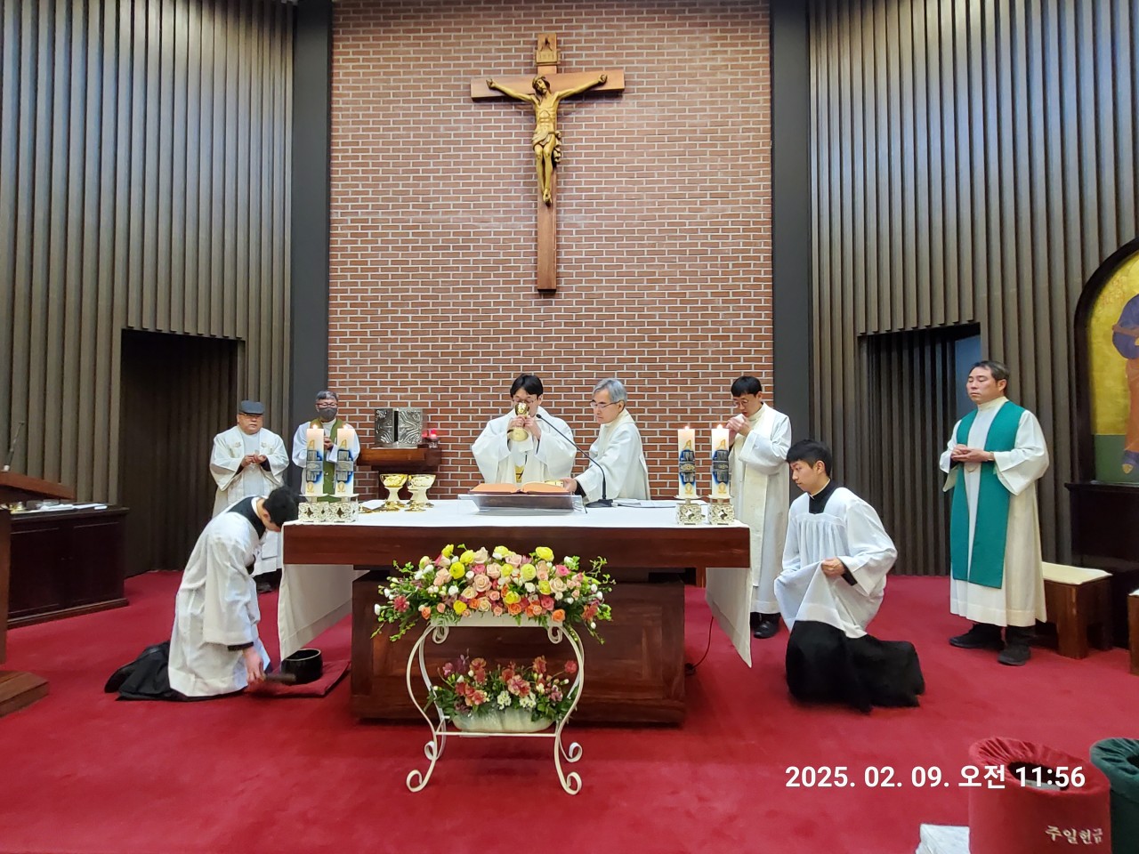 5ffd28a5cce6b.jpg