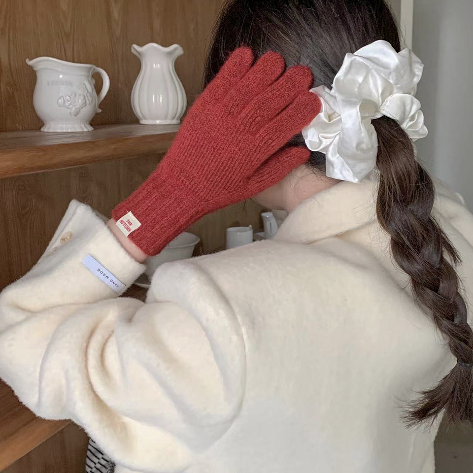 [Smartphone Compatible] Basic Color Knit Gloves
