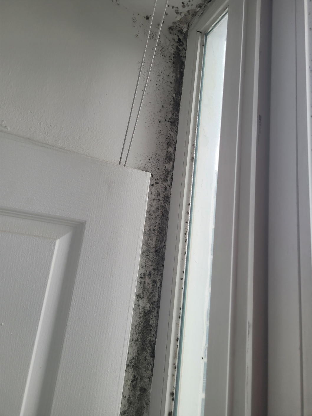 30ab7d65e6520.jpg