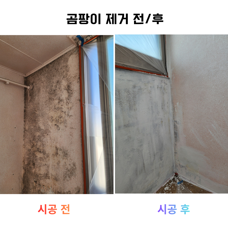 크랙 보수 전후.png