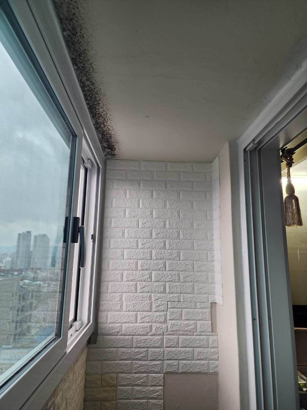651c76bda0e39.jpg