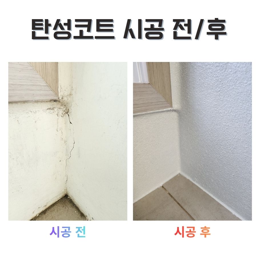 탄성코트 시공 전후