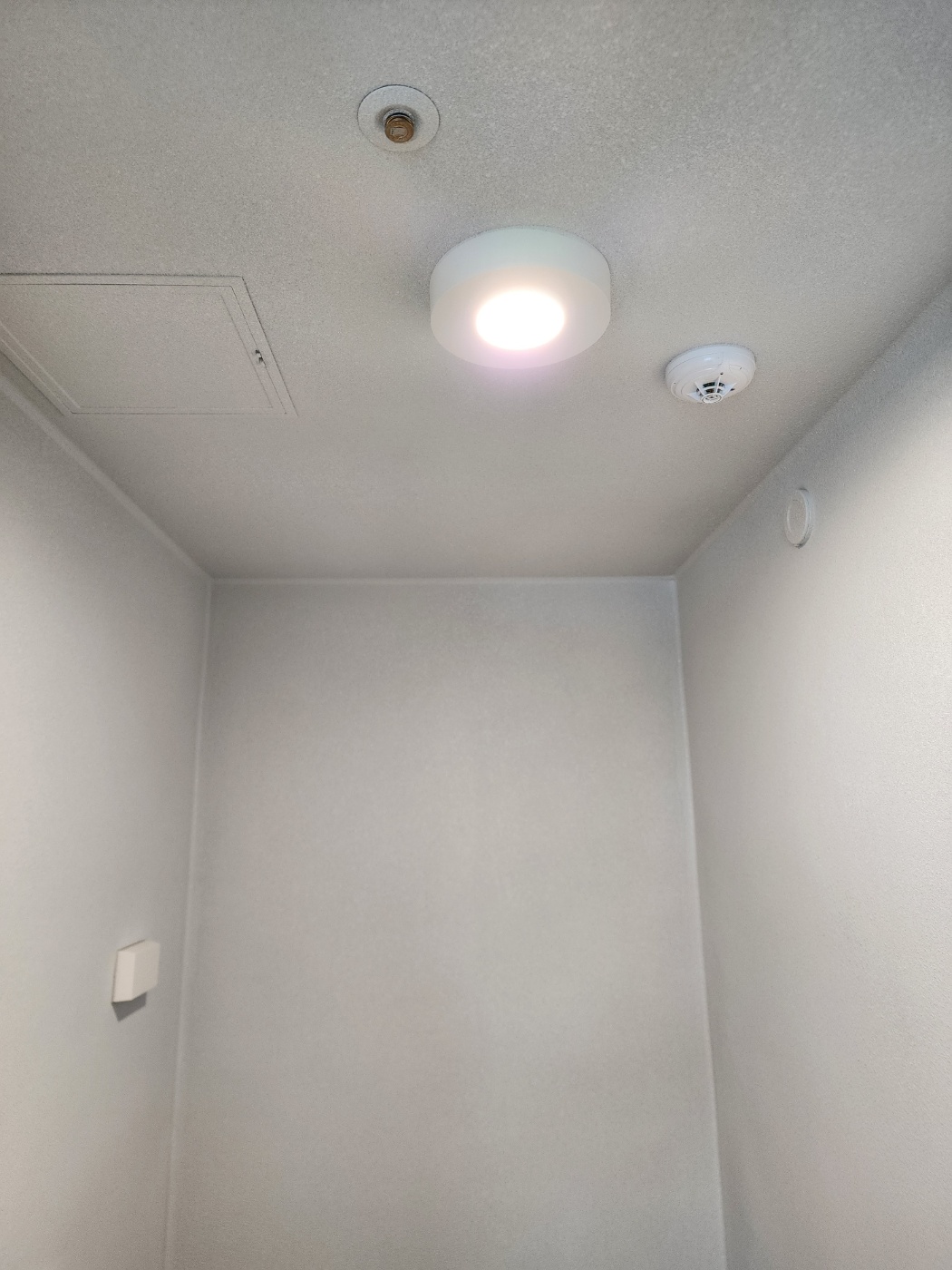 e46049a1ca9ae.jpg