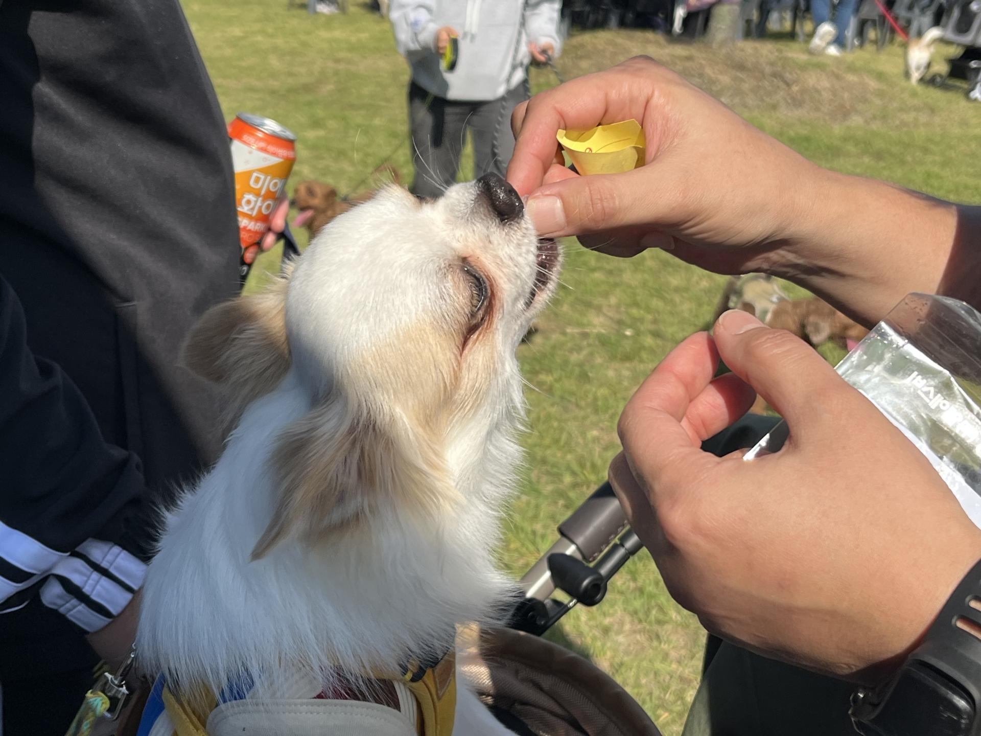 KakaoTalk_Photo_2025-10-27-11-26-14 029.jpeg