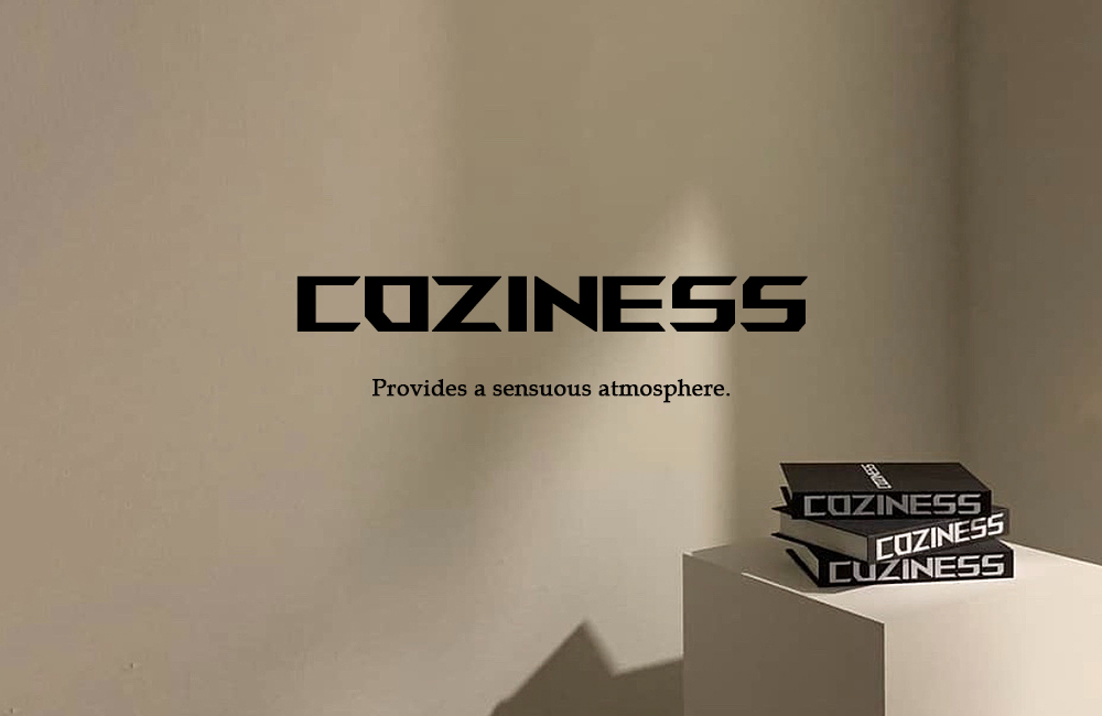 코지네스 아이덴티티 이미지