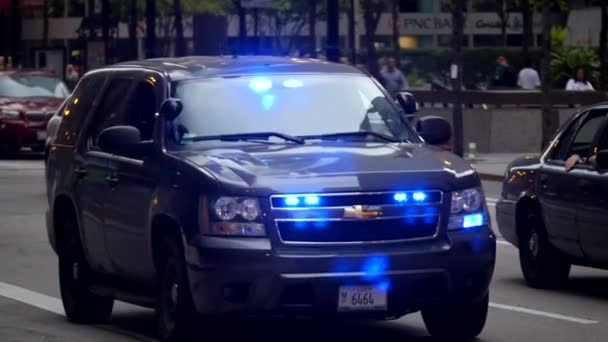 Undercover Police car - CHICAGO, ILLINOIS/USA — Stock Video © 4kclips #102394374