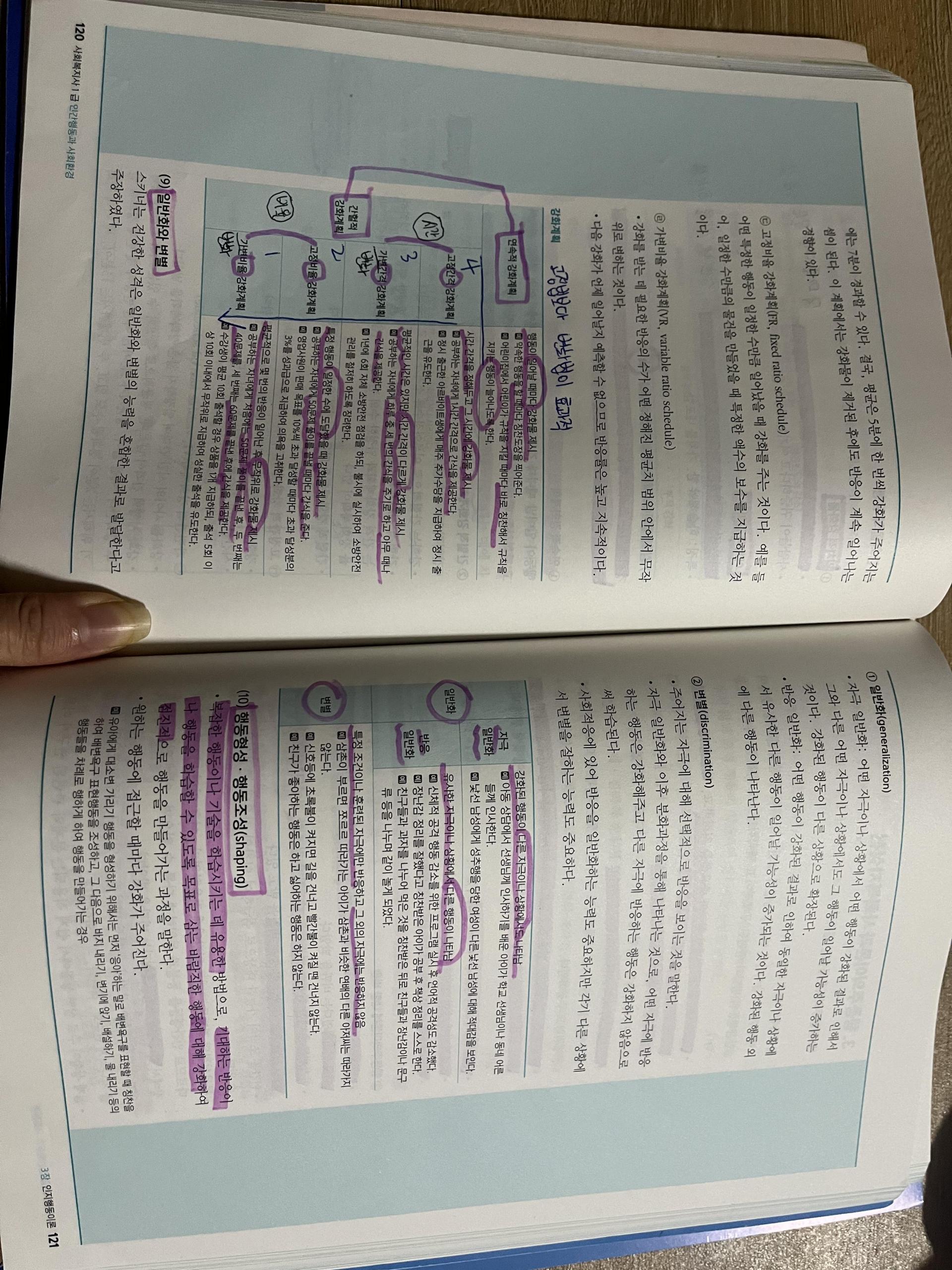ec546d153cbf9.jpeg