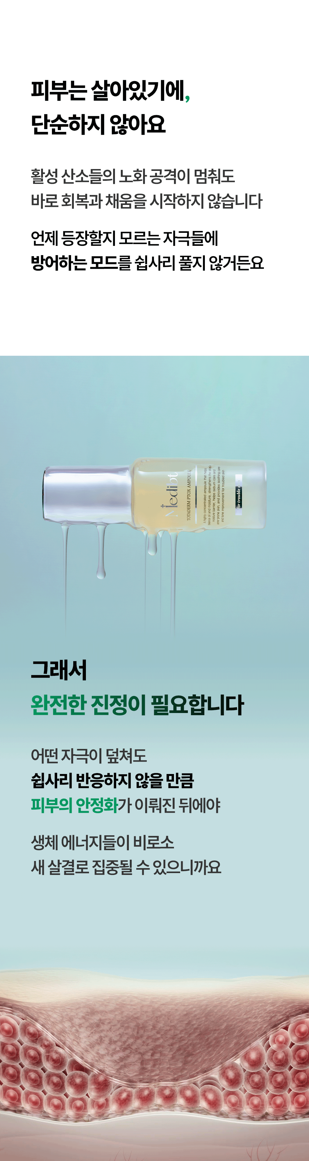 토타덤 피톡스 앰플