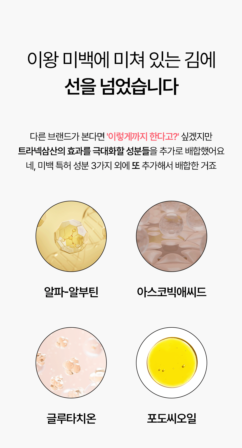 빗결 백설 앰플