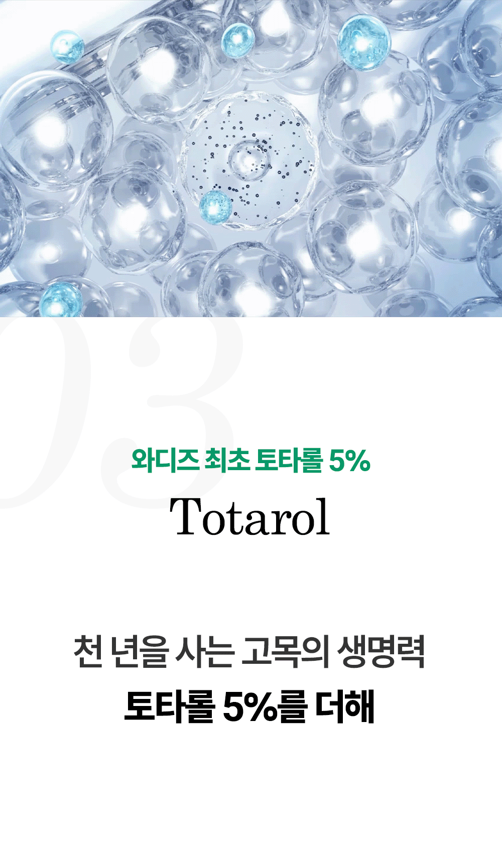 토타덤 피톡스 앰플
