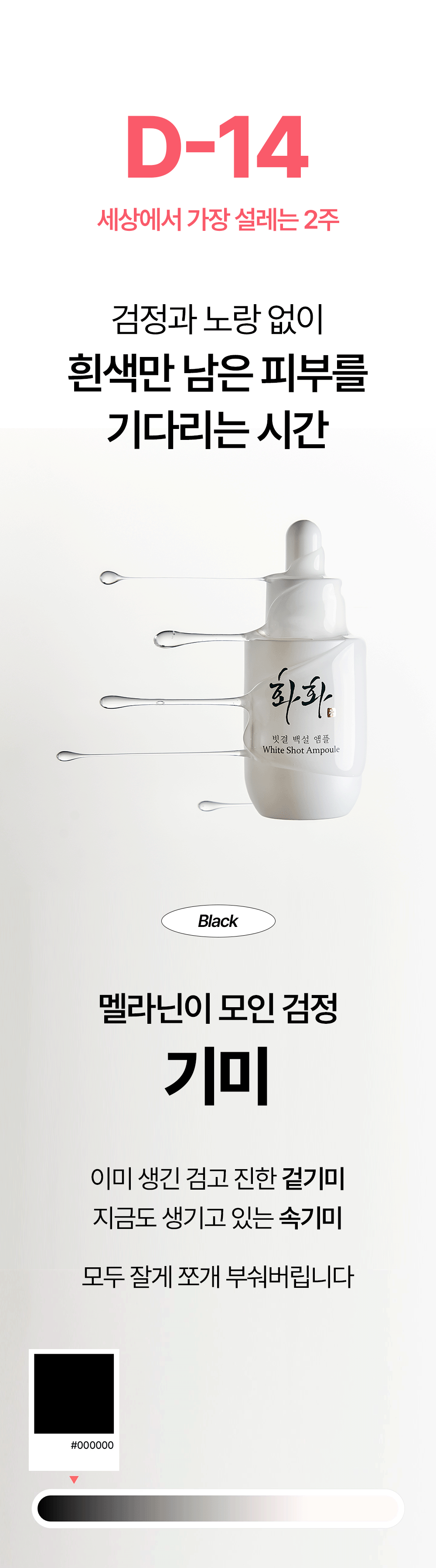 빗결 백설 앰플