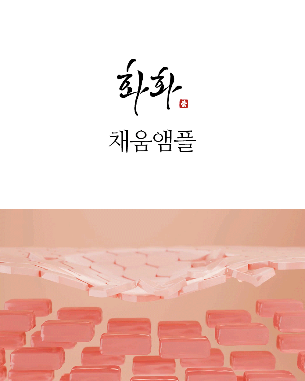 레티노이드 빗결 채움 앰플