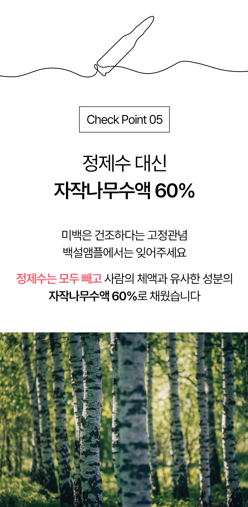 빗결 백설 앰플