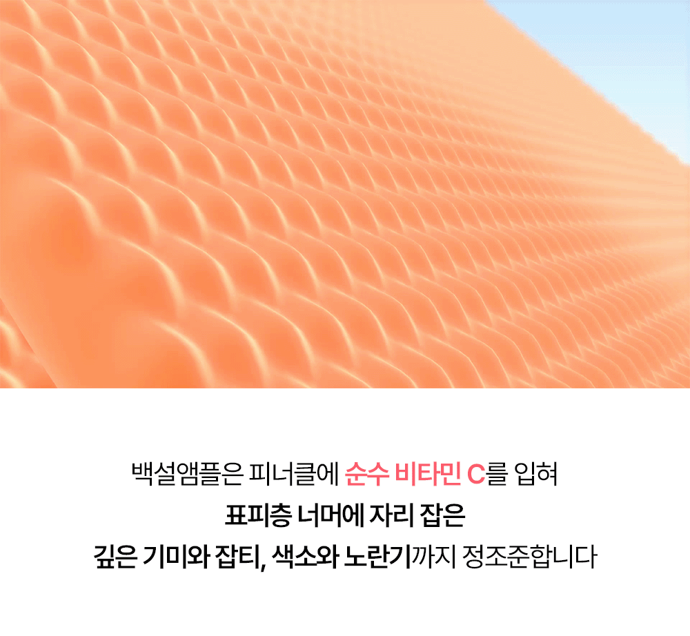 빗결 백설 앰플