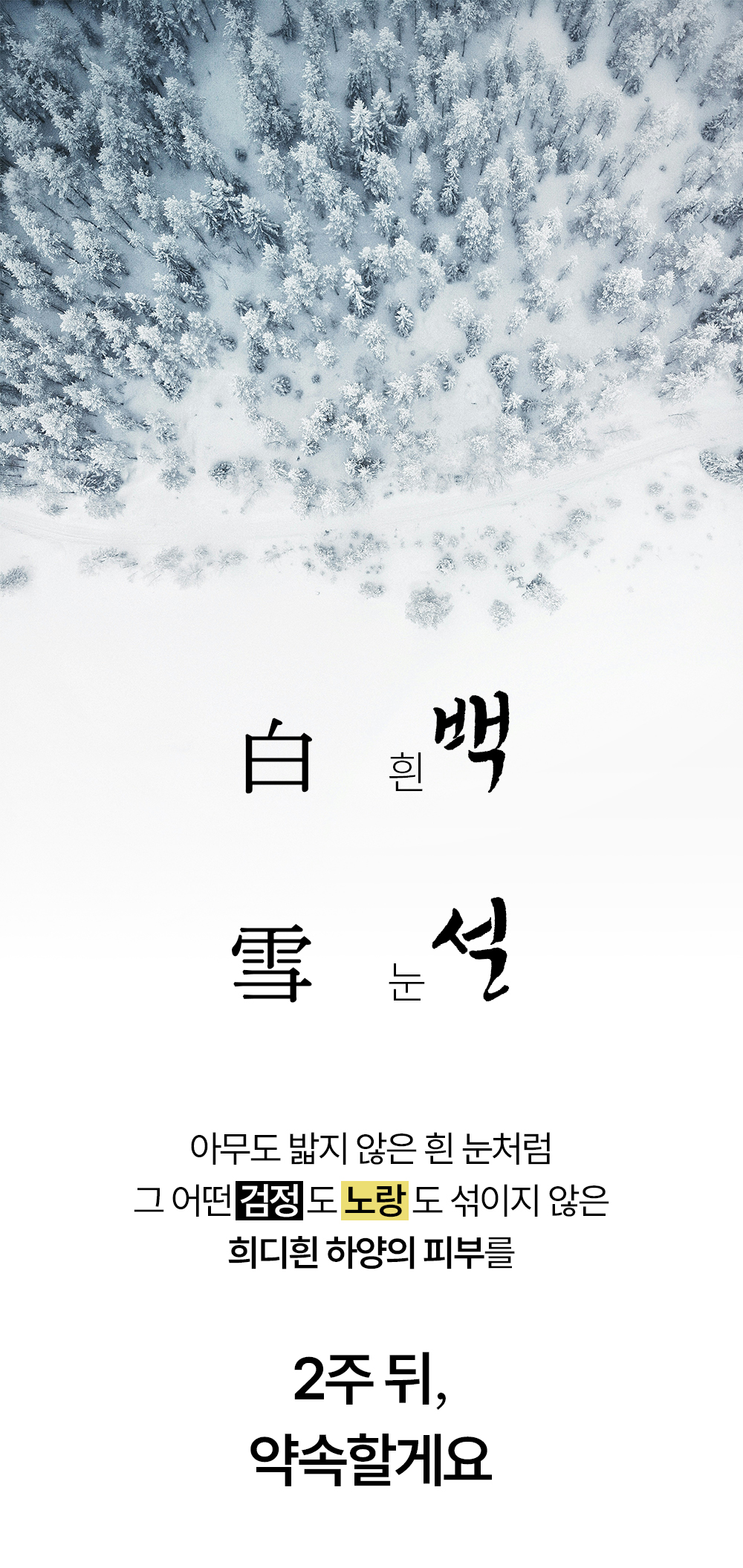 빗결 백설 앰플