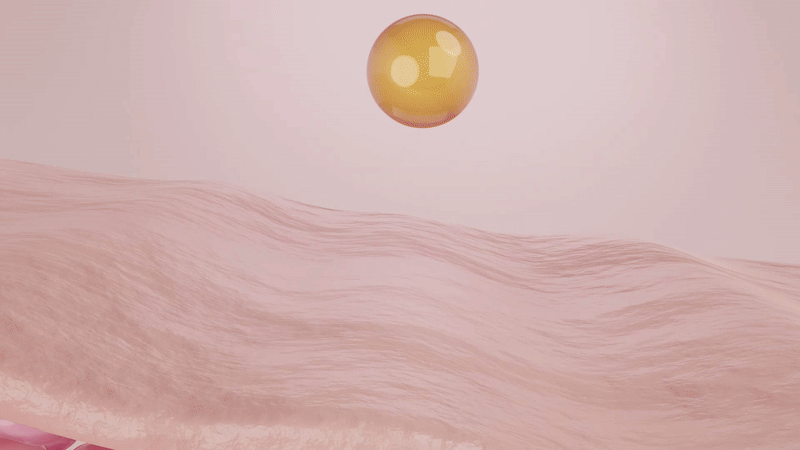 VAP1080pshutterstock_1101253157-ezgif.com-video-to-gif-converter (1).gif