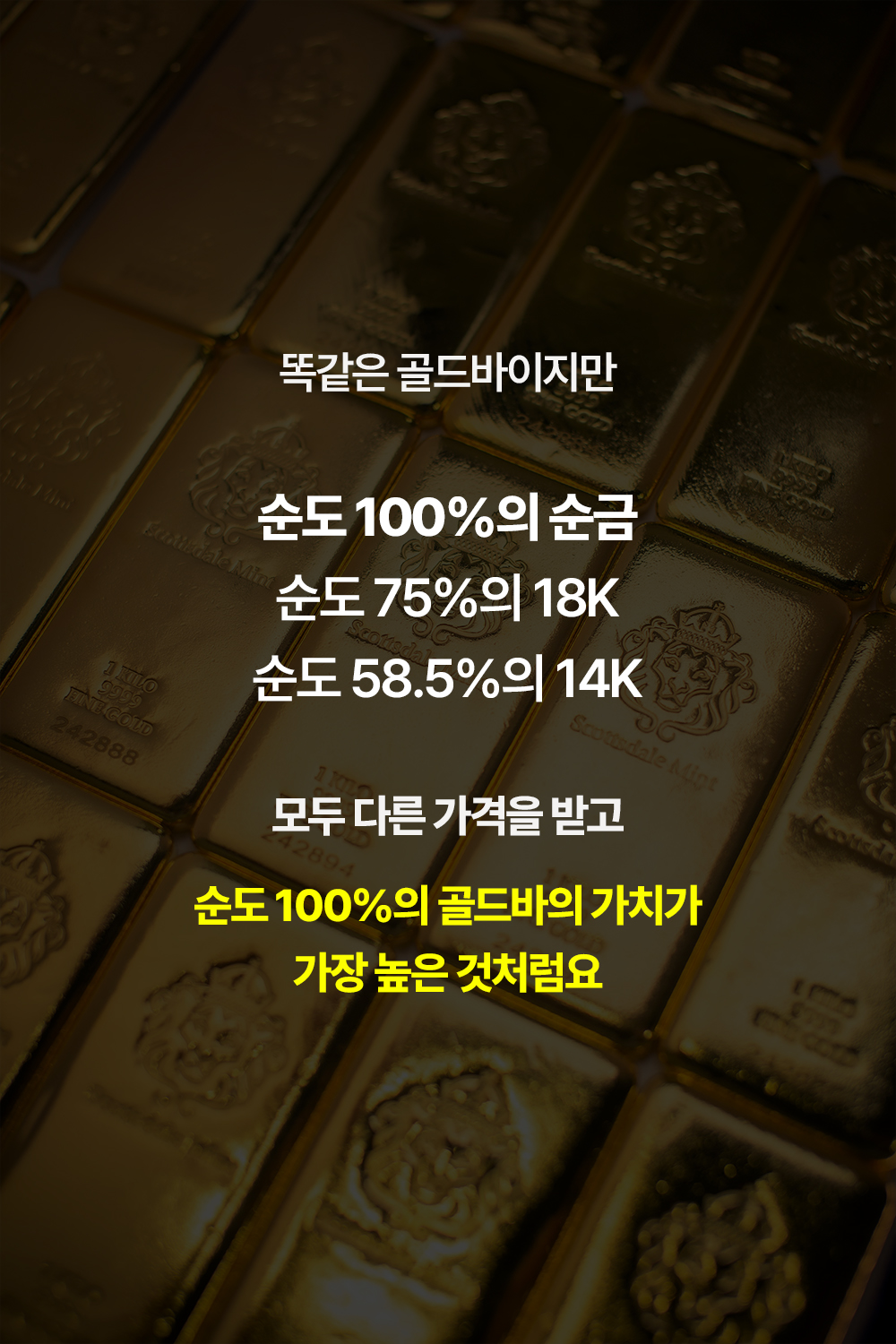 뱀파이어 EGF 앰플