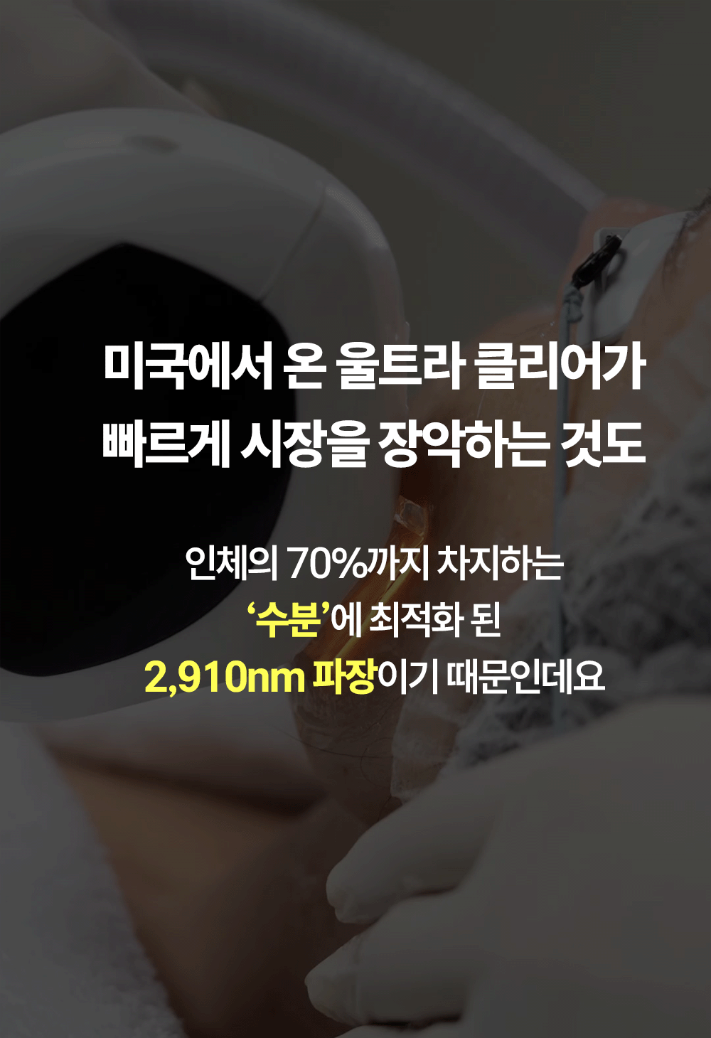 토타덤 피톡스 앰플