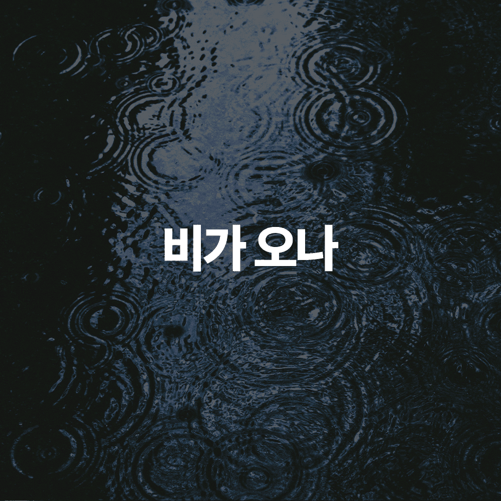 토타덤 피톡스 앰플