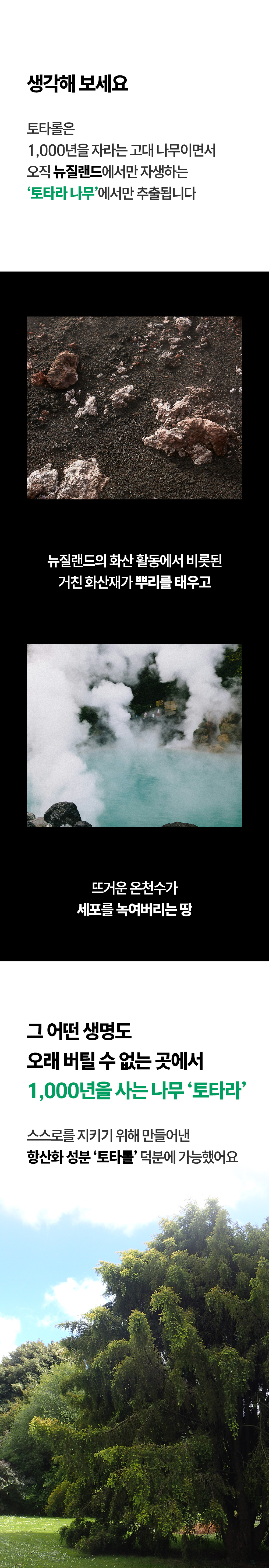토타덤 피톡스 앰플