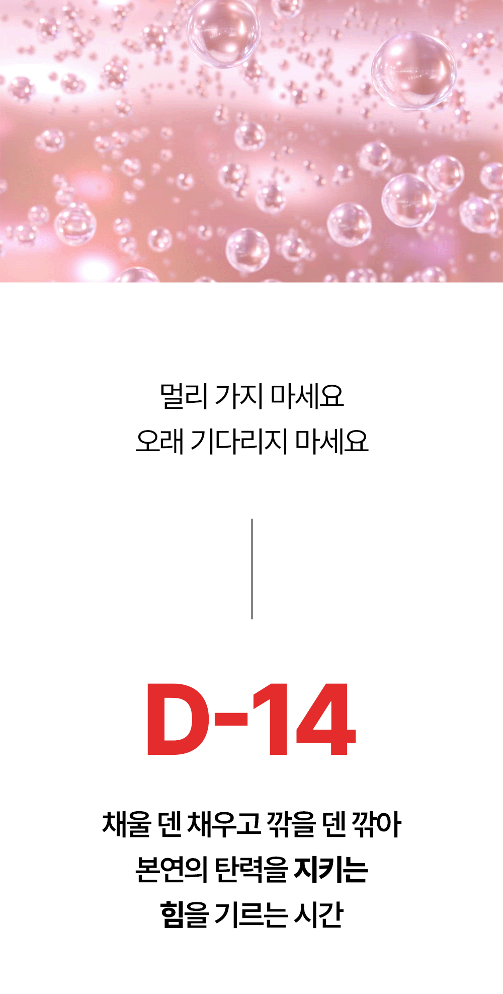 레티노이드 빗결 채움 앰플