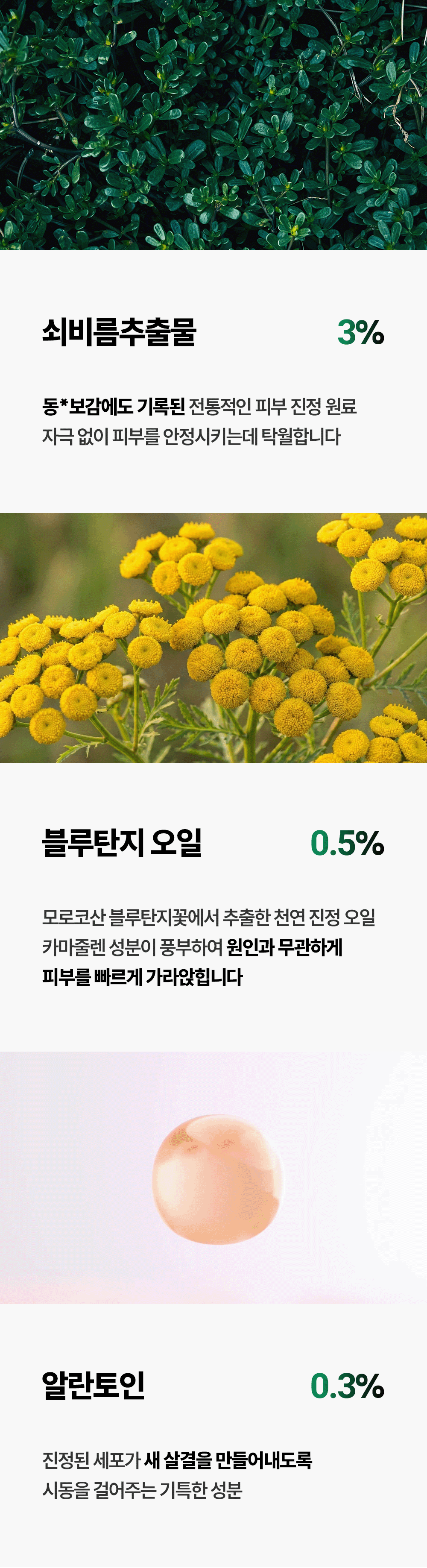 토타덤 피톡스 앰플