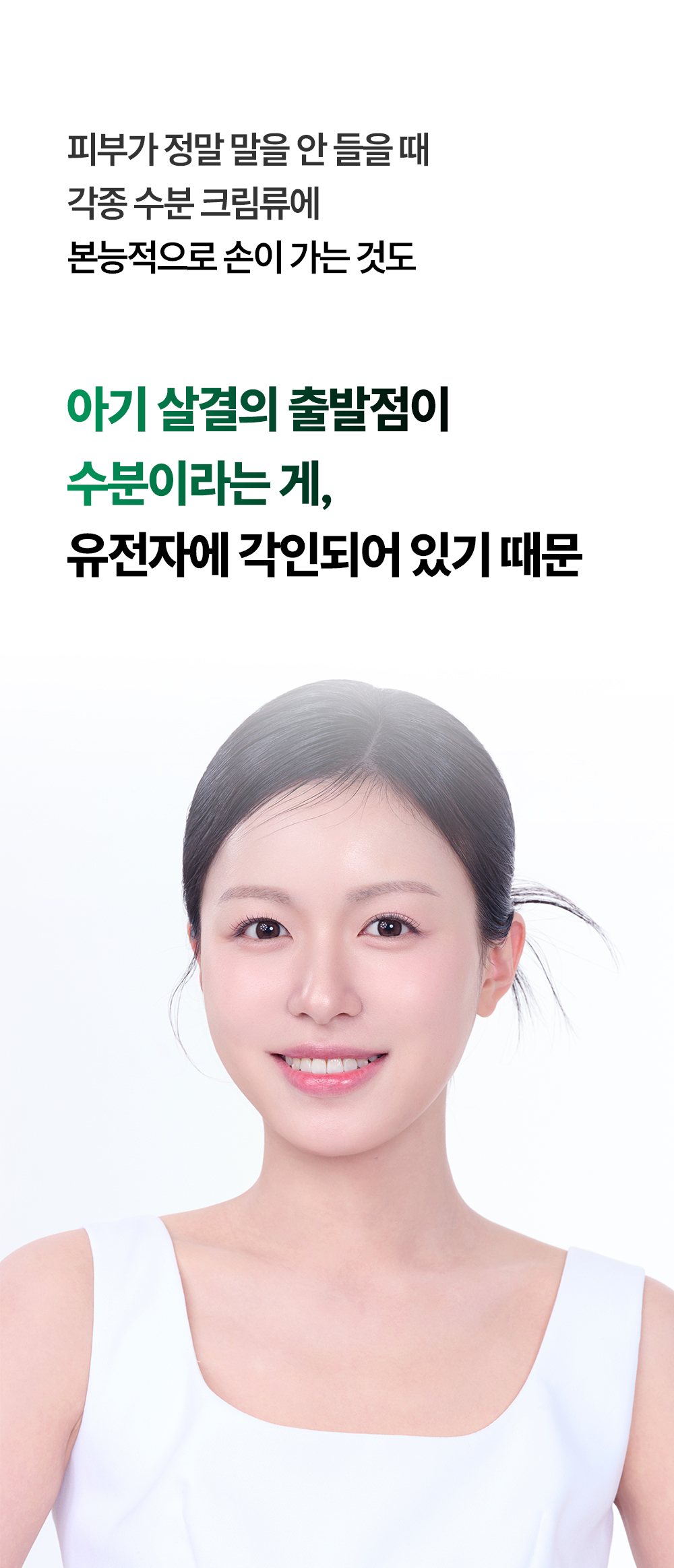 토타덤 피톡스 앰플