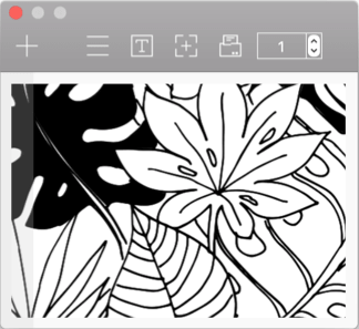 2. Window Size Control