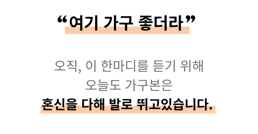 쿠키 폴란드 조야원단 침대