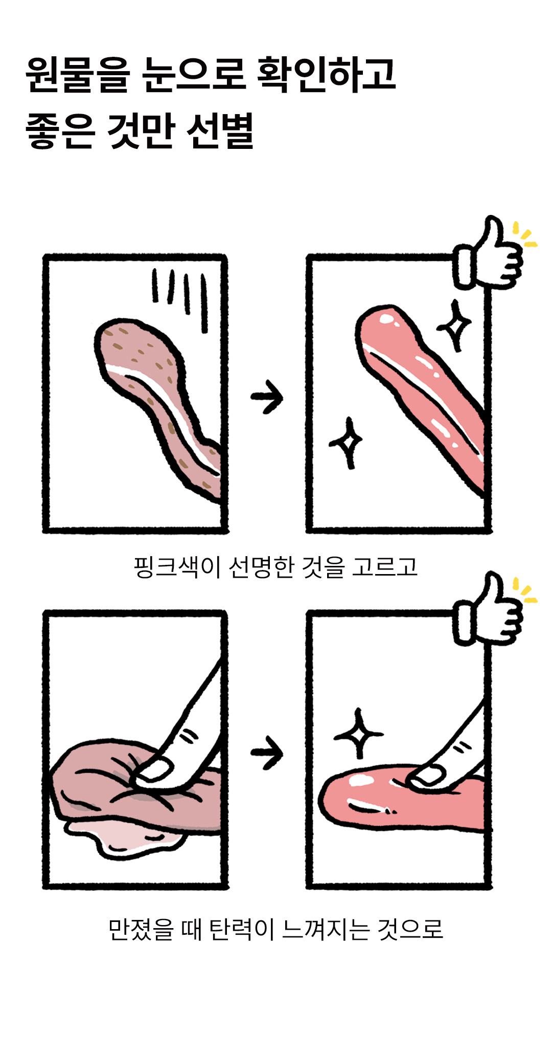 포밀리 덕 츄 50g