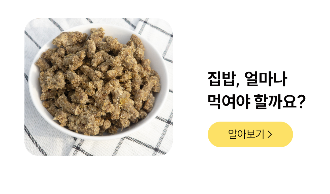 포밀리 소프트 치킨 100g 1팩 / 10팩
