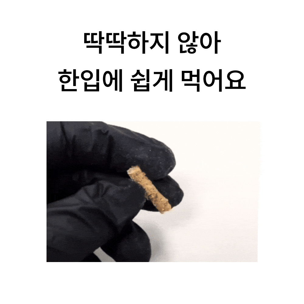 포밀리 바이트 홀스 1kg