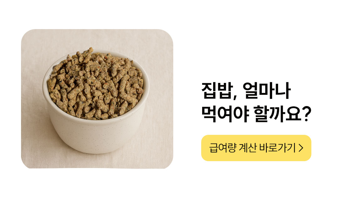 포밀리 바이트 스타터팩