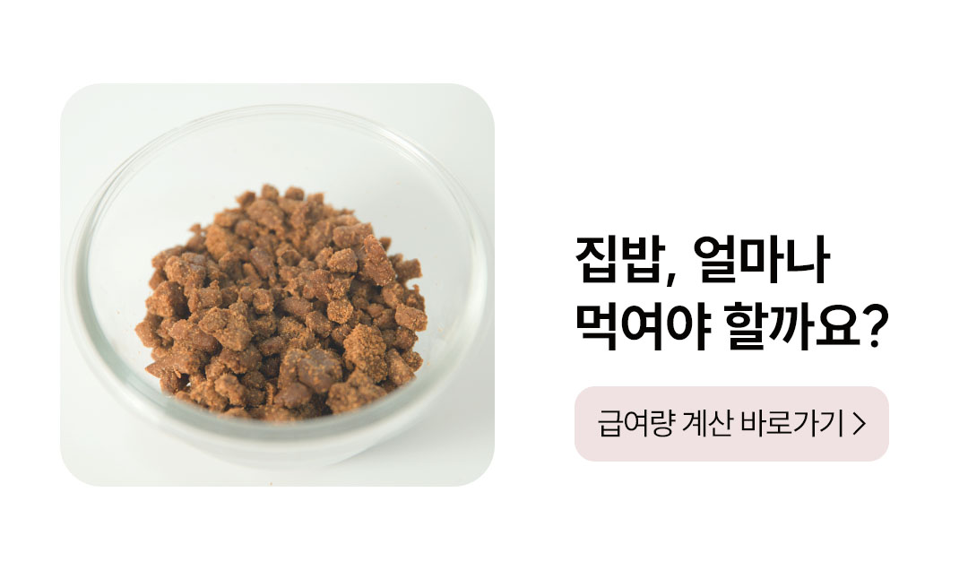 포밀리 소프트 스타터팩