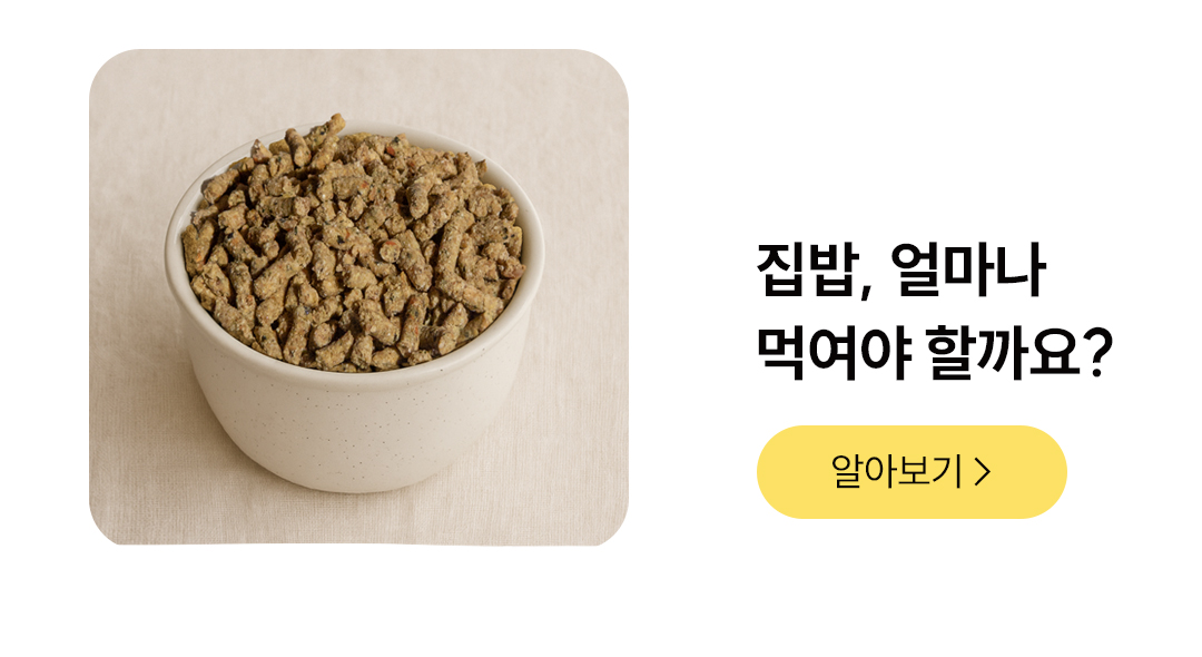 포밀리 바이트 비프 1kg