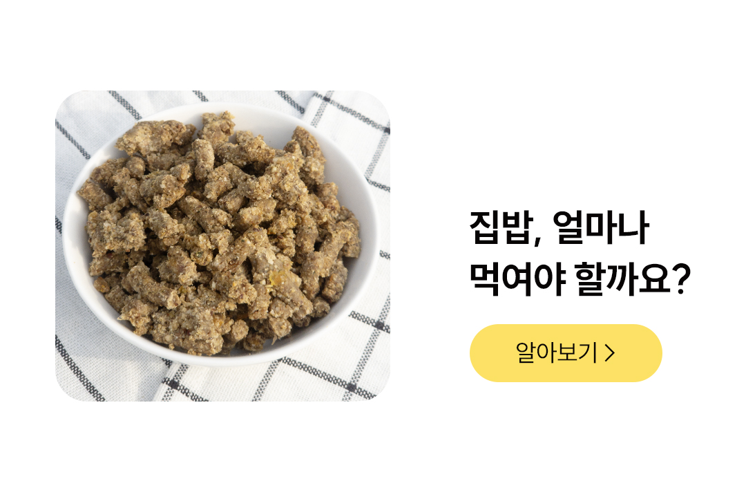 포밀리 소프트 덕 100g 1팩 / 10팩