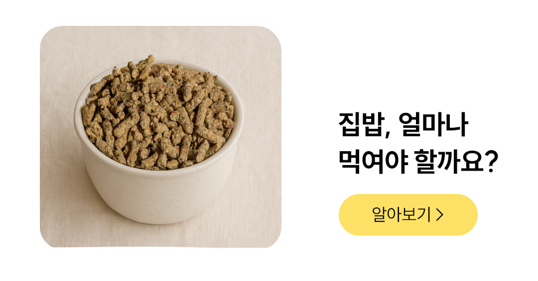 포밀리 바이트 치킨 100g