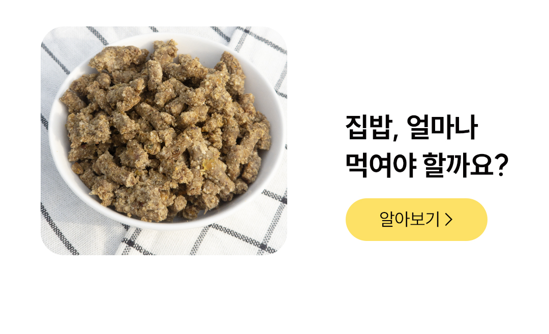 포밀리 소프트 비프 100g 1팩 / 10팩