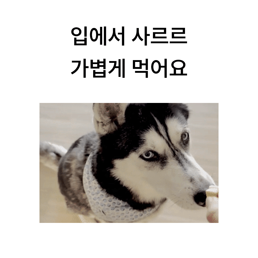 포밀리 팝팝라이스!