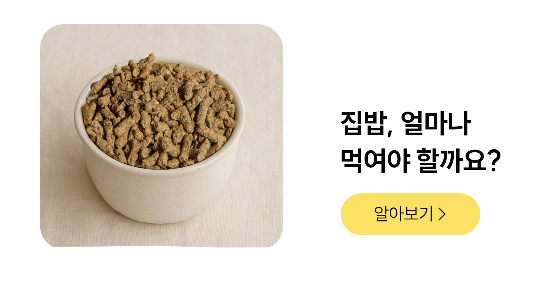 포밀리 바이트 덕 100g