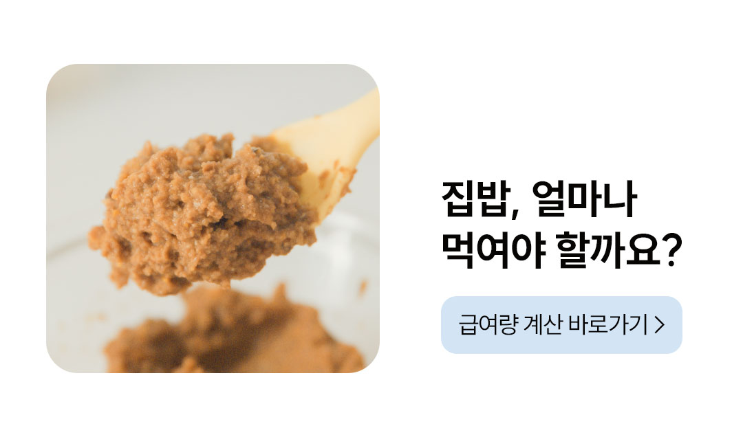 포밀리 스튜 스타터팩