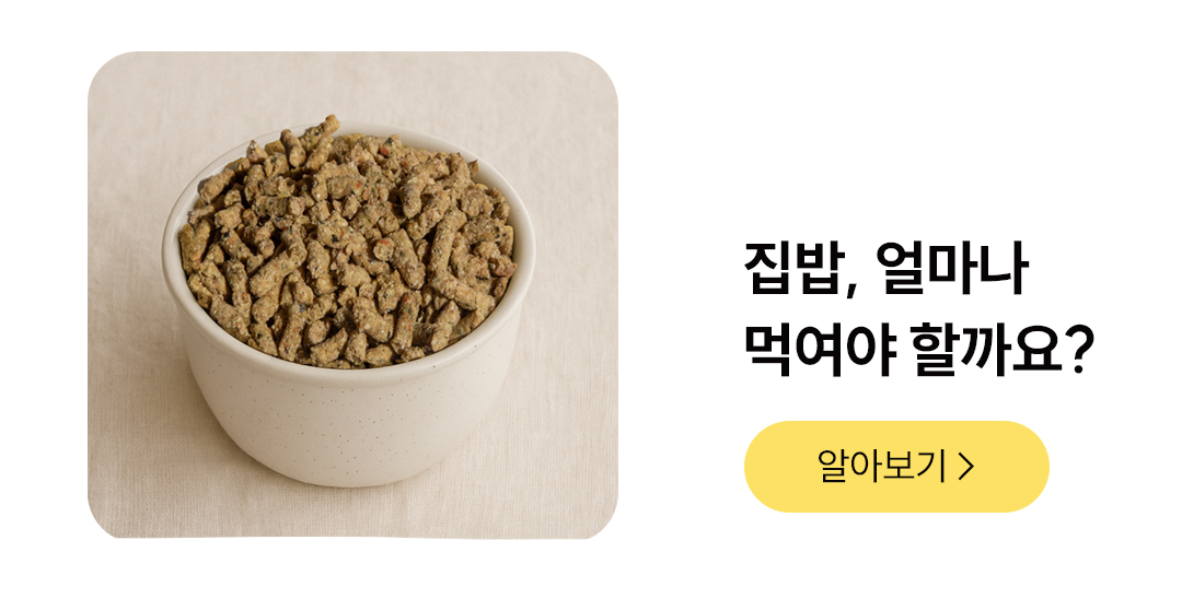 포밀리 바이트 홀스 1kg