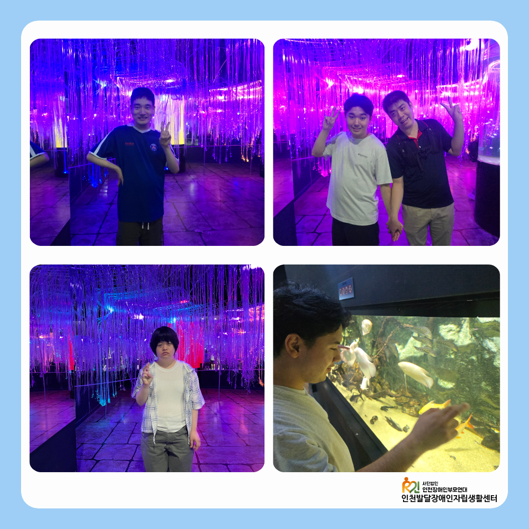 2520d43d32a75.png